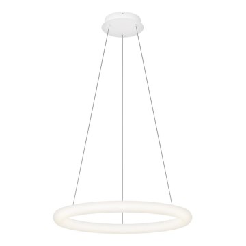Top Light - LED ρυθμιζόμενο κρεμαστό φωτιστικό με καλώδιο RINGO LED/40W/230V 3000-6500K λευκό + τηλεχειριστήριο