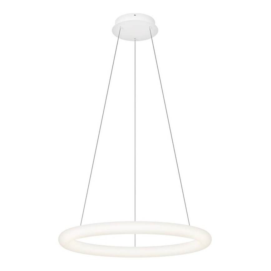 Top Light - LED ρυθμιζόμενο κρεμαστό φωτιστικό με καλώδιο RINGO LED/40W/230V 3000-6500K λευκό + τηλεχειριστήριο