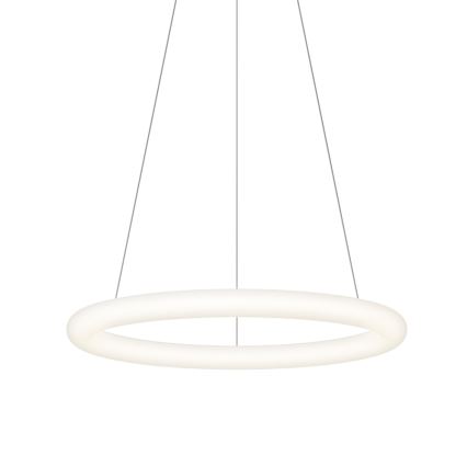 Top Light - LED ρυθμιζόμενο κρεμαστό φωτιστικό με καλώδιο RINGO LED/40W/230V 3000-6500K λευκό + τηλεχειριστήριο