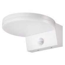 Top Light - LED Φωτιστικό τοίχου εξωτερικού χώρου με αισθητήρα NOVARA LED/15W/230V IP65 λευκό