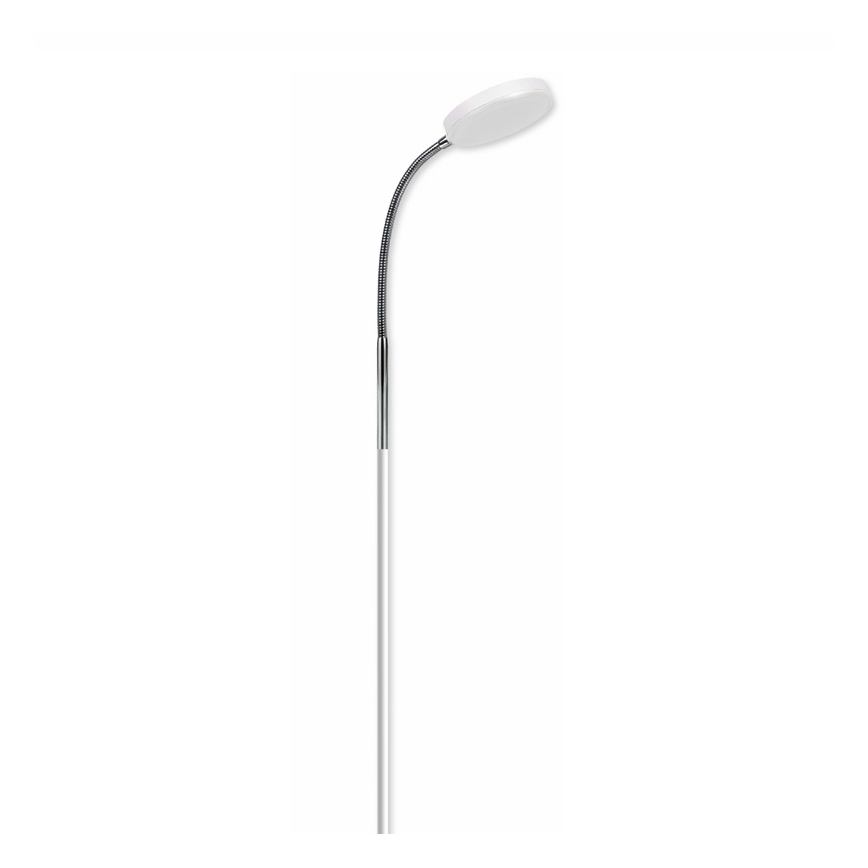 Top Light Lucy P B - Επιδαπέδια λάμπα LUCY LED/5W/230V