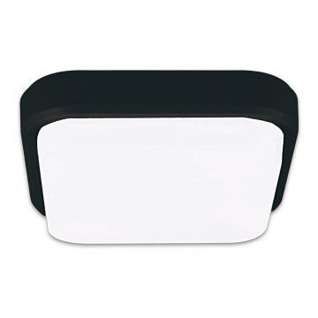 Top Light  Mango H - Φωτιστικό οροφής εξωτερικού χώρου LED MANGO LED/18W/230V IP54