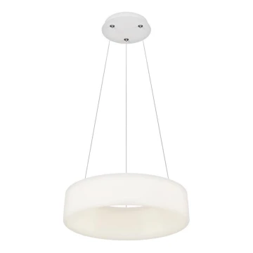 Top Light - Ρυθμιζόμενο κρεμαστό φωτιστικό LED σε καλώδιο HALO LED/40W/230V 3000-6500K Ø 44 cm + τηλεχειριστήριο