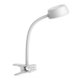 Top Light - Επιτραπέζια λάμπα LED με κλιπ  LED/4,5W/230V λευκό