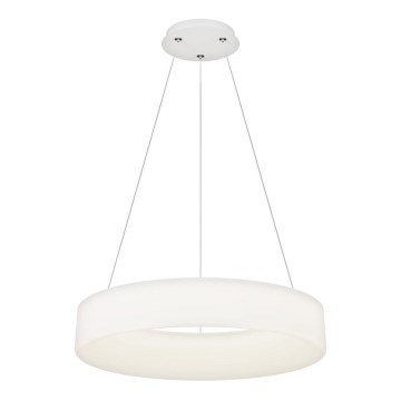 Top Light - Ρυθμιζόμενο κρεμαστό φωτιστικό LED HALO LED/60W/230V 3000-6500K διάμετρος 60 cm + τηλεχειριστήριο