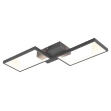 Trio - LED Dimmable πλαφονιέρα οροφής CAFU 2xLED/7W/230V
