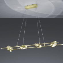 Trio - LED Κρεμαστό πολύφωτο με σύρμα LEICESTER 8xLED/4W/230V