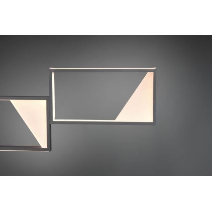 Trio - LED Κρεμαστό φωτιστικό οροφής ράγα CAFU 4xLED/7W/230V