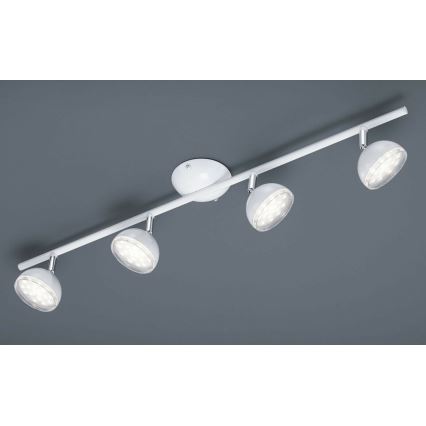 Trio - LED Φωτιστικό Σποτ BOLOU 4xLED/3,8W/230V