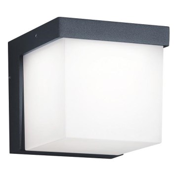Trio - Επιτοίχιο φωτιστικό εξωτερικού χώρου LED YANGTZE LED/4,5W/230V IP54 3000K
