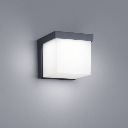 Trio - Επιτοίχιο φωτιστικό εξωτερικού χώρου LED YANGTZE LED/4,5W/230V IP54 3000K