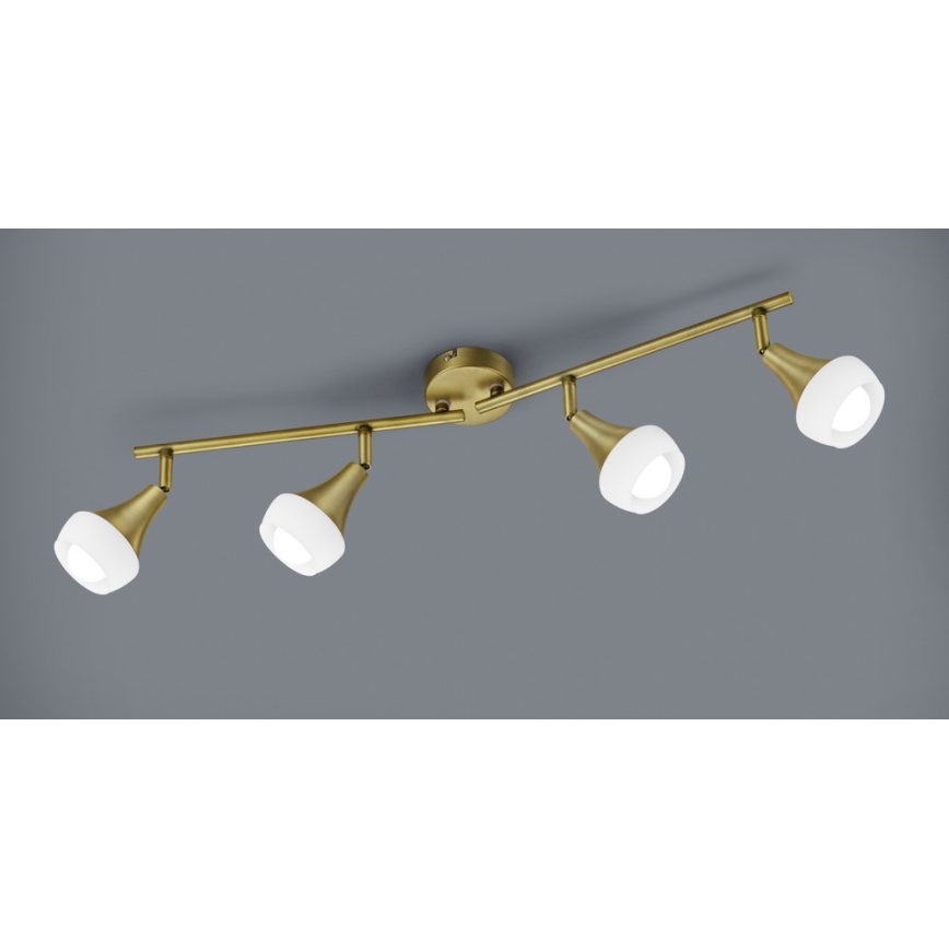TRIO - Φωτιστικό σποτ TRUMPET 4xE14/40W/230V