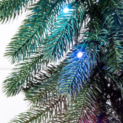 Twinkly - LED RGBW ρυθμιζόμενη χριστουγεννιάτικη γιρλάντα GARLAND 50xLED 2,7 m Wi-Fi