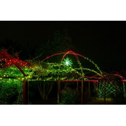 Twinkly - LED RGB Dimming Εξωτερικού χώρου poinsettia SPRITZER 200xLED IP44 Wi-Fi