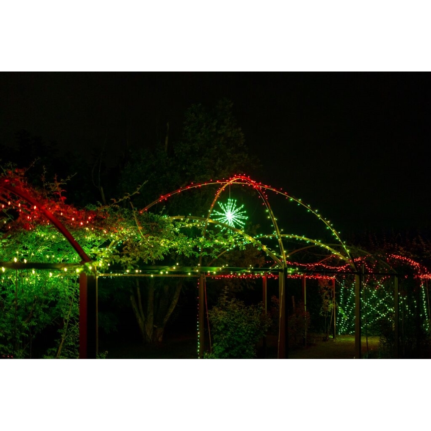 Twinkly - LED RGB Dimming Εξωτερικού χώρου poinsettia SPRITZER 200xLED IP44 Wi-Fi