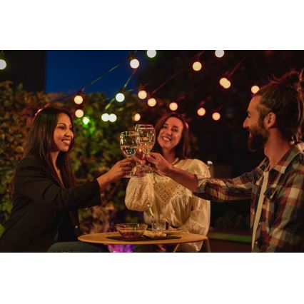 Twinkly - LED RGB Dimming Εξωτερικού χώρου διακοσμητικά λαμπάκια FESTOON 20xLED 14m IP44 Wi-Fi