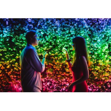 Twinkly - Ρυθμιζόμενη LED RGBW εξωτερική χριστουγεννιάτικη γιρλάντα STRINGS 250xLED 23,5μ IP44 Wi-Fi
