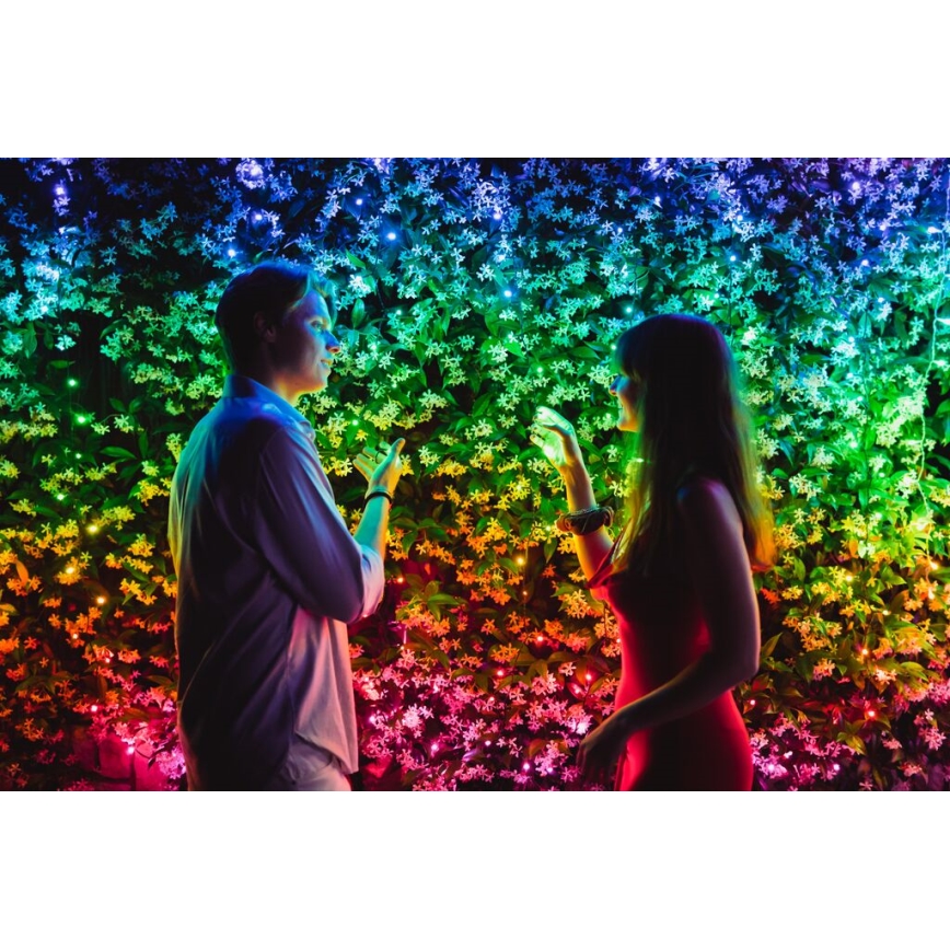 Twinkly - Ρυθμιζόμενη LED RGBW εξωτερική χριστουγεννιάτικη γιρλάντα STRINGS 250xLED 23,5μ IP44 Wi-Fi
