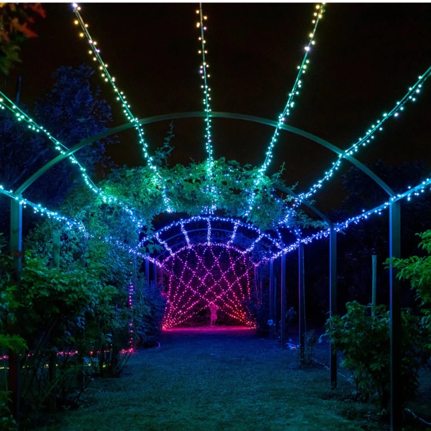Twinkly - LED RGBW Χριστουγεννιάτικα λάμπακια εξωτερικού χώρου STRINGS 250xLED 23,5m IP44 Wi-Fi