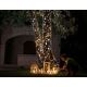 Twinkly - LED Dimming Εξωτερικού χώρου Χριστουγεννιάτικη φωτεινή αλυσίδα STRINGS 400xLED 35,5m IP44 Wi-Fi