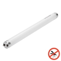 UV σωλήνας φθορισμού για παγίδα εντόμων G13/10W/230V 36,5 cm - BRILAGI