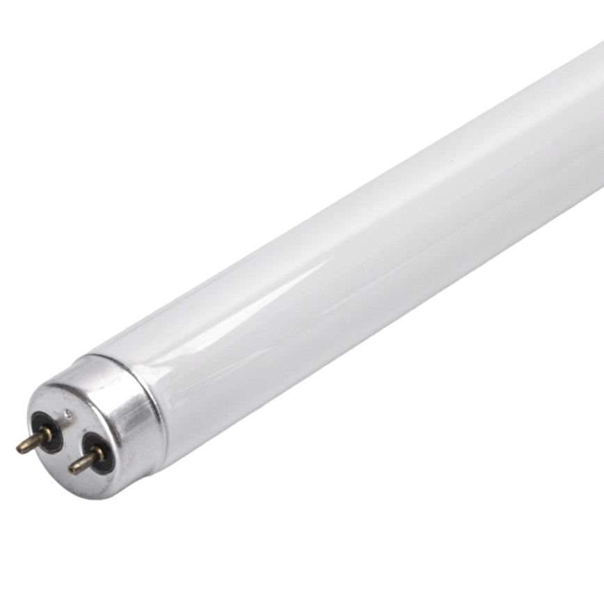 UV σωλήνας φθορισμού για παγίδα εντόμων G13/10W/230V 36,5 cm - BRILAGI