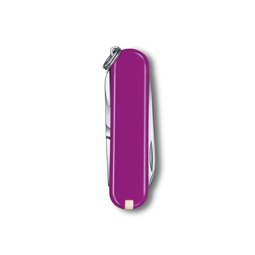 Victorinox - Πολυλειτουργικός σουγιάς τσέπης CLASSIC SD 5,8 cm/7 λειτουργίες μωβ