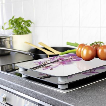 WENKO 2521433500 - Κάλυμμα επιφάνειας ABDECKPLATTE - ΛΟΥΛΟΥΔΙ/ΦΥΤΟ 30x52 cm πολύχρωμο