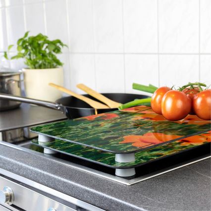 WENKO 2521434500-Πλάκα κάλυψης - Λουλούδι/Φυτό 30x52 cm πολύχρωμη