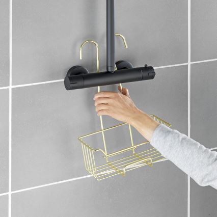 WENKO 25937100 - Καλάθι ντους MILO 25x36 cm ανοξείδωτο/χρυσό/διάφανο