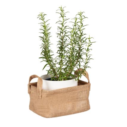 WENKO 64470100 - Καλάθι JUNA 20x15 cm καφέ