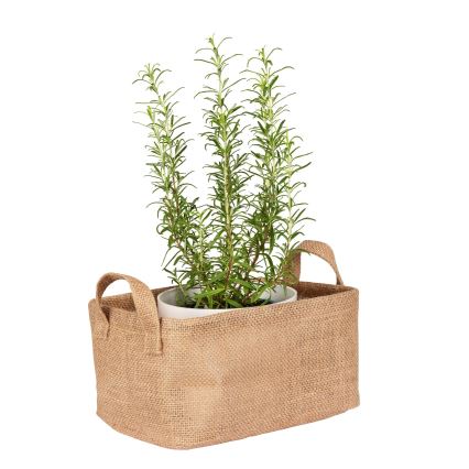 WENKO 64471100 - Καλάθι JUNA 24x17 cm καφέ