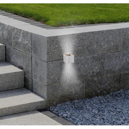 Westinghouse 61150 - Επιτοίχιο φωτιστικό εξωτερικού χώρου LED FREYA 2xLED/4,5W/230V IP44 λευκό