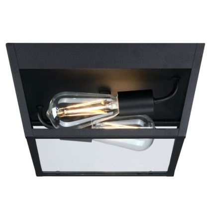 Westinghouse 61219 - Φωτιστικό οροφής εξωτερικού χώρου PETERSON 2xE27/40W/230V IP44