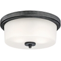 Westinghouse 6325140 - Φωτιστικό οροφής CEDRIC 2xE27/40W/230V Ø 33 cm
