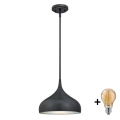 Westinghouse 6329440 - LED πολυέλαιος σε ράβδο RUDI 1xE27/60W/230V διάμ. 30 cm