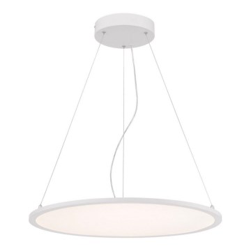 Westinghouse 65775 - LED Dimmable κρεμαστό φωτιστικό οροφής ATLER LED/40W/230V 60 cm