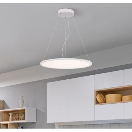 Westinghouse 65775 - LED Dimmable κρεμαστό φωτιστικό οροφής ATLER LED/40W/230V 60 cm