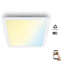 WiZ - LED Dimmable φωτιστικό οροφής SUPERSLIM LED/12W/230V 2700-6500K Wi-Fi λευκό