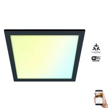 WiZ - LED Dimmable φωτιστικό οροφής SUPERSLIM LED/36W/230V 2700-6500K Wi-Fi μαύρο