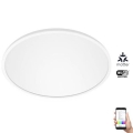 WiZ - LED RGB Ρυθμιζόμενο φωτιστικό οροφής SUPERSLIM LED/22W/230V 2700-6500K Wi-Fi λευκό