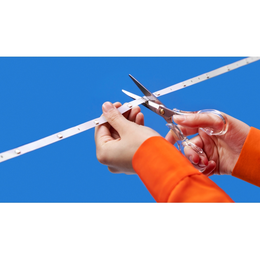 WiZ - LED RGBW ρυθμιζόμενη ταινία 4m LED/6,5/230V 2700-6500K Wi-Fi