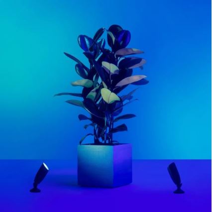 WiZ - Ρυθμιζόμενο εξωτερικό φωτιστικό σημείου LED RGBW SPOT LED/4W/12V 2700K-5000K IP65 Wi-Fi