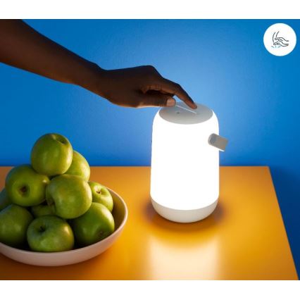 WiZ - Φορητό ρυθμιζόμενο LED φως RGBW MOBILE LED/13,5W/5V 2200-6500K Wi-Fi