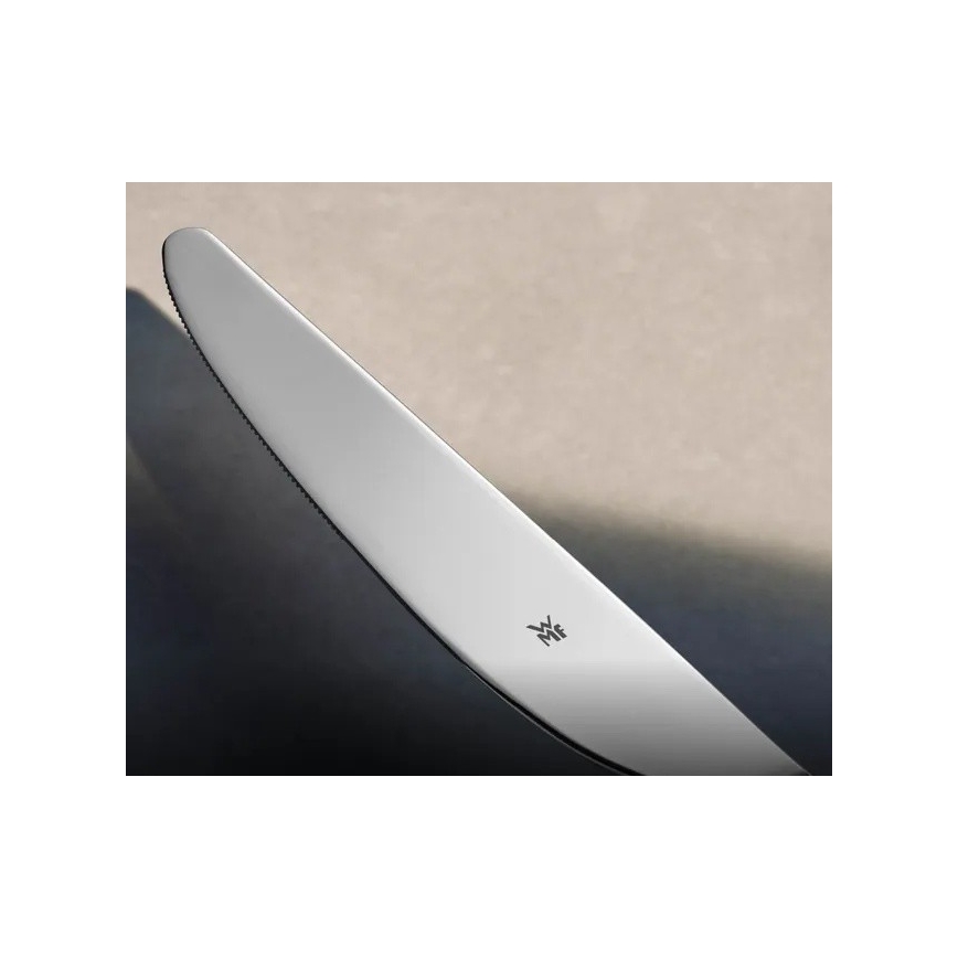 WMF - Σετ μαχαιροπίρουνων BOSTON από ανοξείδωτο ατσάλι, 24 τεμ.