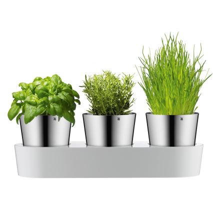 WMF - Γλάστρα με βότανα 3pcs GOURMET λευκό/ανοξείδωτο ατσάλι