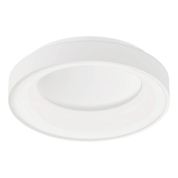 Wofi 11219 - Φωτιστικό οροφής LED Dimmable SHAY LED/37W/230V