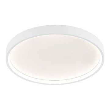 Wofi 12055 - Ρυθμιζόμενο LED οροφής φωτιστικό DUBAI LED/27,5W/230V λευκό