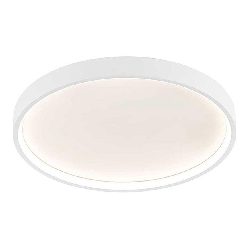 Wofi 12055 - Ρυθμιζόμενο LED οροφής φωτιστικό DUBAI LED/27,5W/230V λευκό