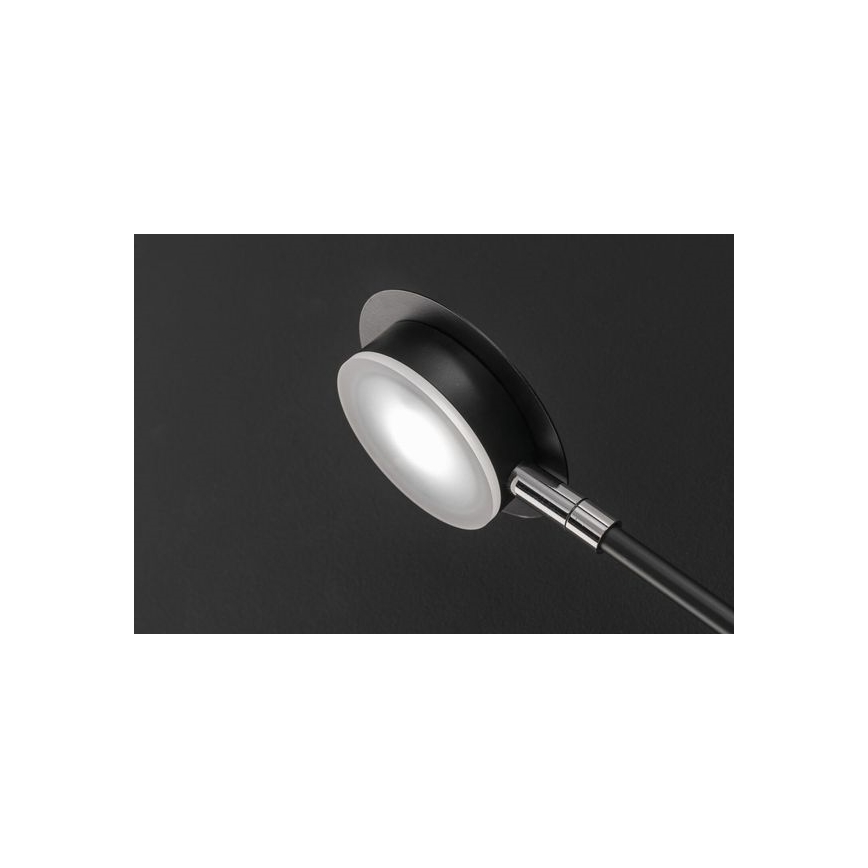 Wofi 446602109000 - LED Επιτοίχιο φωτιστικό BELIZE 2xLED/5W/230V 3000K μαύρο
